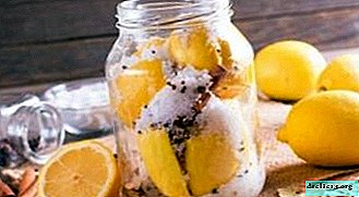 Les secrets de la récolte du citron pour l'hiver. Comment conserver cet agrume?