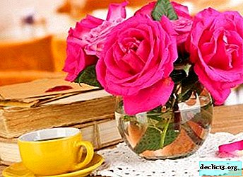 Stvorimo ljepotu u kući. Ruže u vazi: koje odabrati i kako se brinuti o njima?
