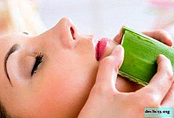 Paprasto agavo paslaptys - kaip alavijas padeda grožėtis veido oda?