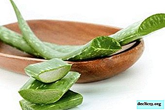Die einzigartigen Eigenschaften von Aloesaft und ihre Verwendung in der Volksmedizin und in der amtlichen Medizin