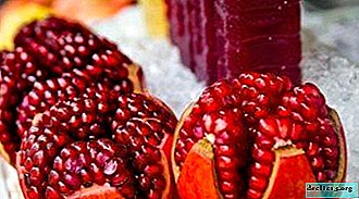 The use of pomegranate for weight loss: the pros and cons