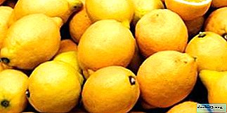 What is the benefit or harm of lemon to the body? The healing properties of citrus