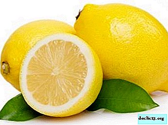 Kakšna je korist ali škoda limone za moške? Kako uporabljati za preprečevanje in zdravljenje