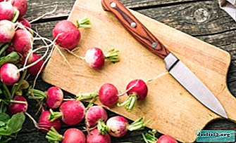 What is the use of radish for men and when can a vegetable do harm?