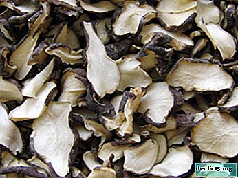 What is the use of dried Jerusalem artichoke? How to cook and apply for medicinal purposes? - Vegetable growing