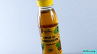 All information about Jerusalem artichoke syrup: composition, benefits, preparation - Vegetable growing