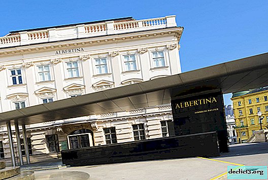 Das Albertina Museum in Wien - Eine Geschichte von 130 Jahren Grafik