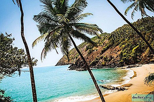 17 best beaches of South and North Goa