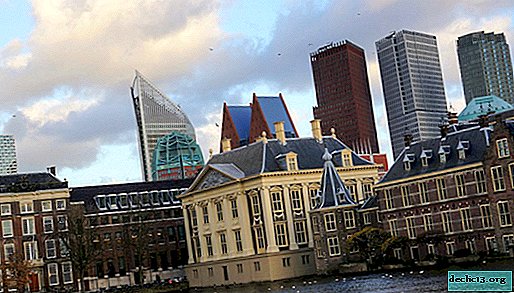 How to get from Amsterdam to The Hague - 3 ways