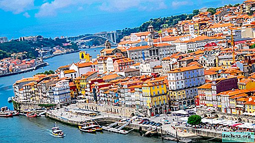 Qué ver en Oporto en 3 días - TOP vistas
