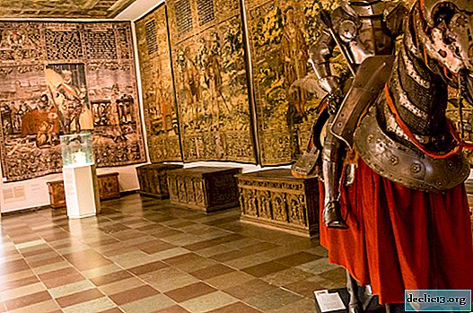 TOP 7 muzejev v Københavnu - kaj videti turista
