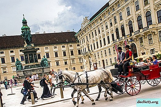 Excursions in Vienna: top 9 most sought after guides