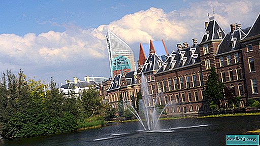 What to see in The Hague per day - 9 attractions