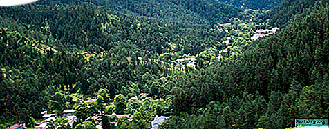 Abastumani - health resort of Georgia