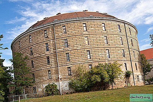 Torre de los Locos: uno de los museos más controvertidos del mundo.