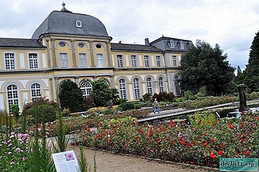 mjesta za upoznavanje u Bonnu