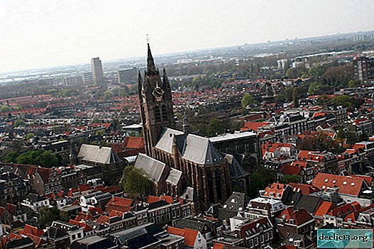 Delft is a city of china in the Netherlands