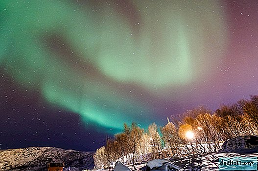 Where and when you can see the northern lights