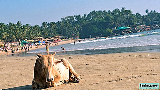 Goa, Inde - plages de sable doré et histoire riche