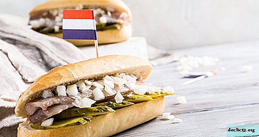 المطبخ الهولندي - الأطباق الوطنية في هولندا