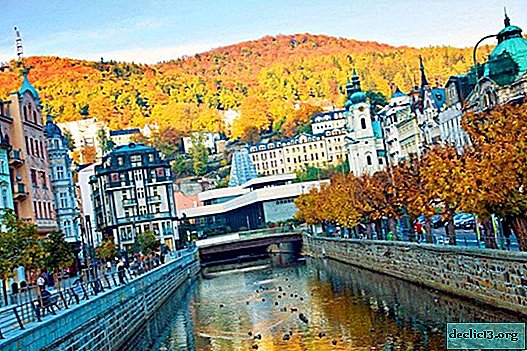 Karlovy Vary - วิธีการได้รับจากปรากด้วยตัวคุณเอง