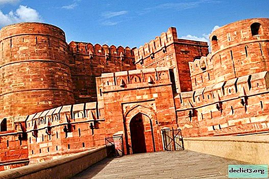 Fuerte rojo en Agra - memoria del imperio mogol - Viajes