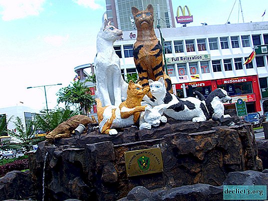 Kuching - "kattebyen" i Malaysia