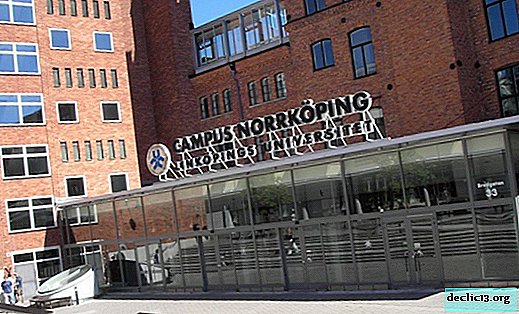 Linköping är en stad i Sverige där idéer går i uppfyllelse