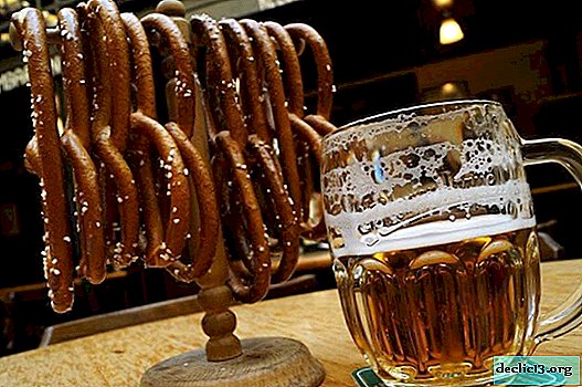 De beste brouwerijen in Praag - waar te gaan en wat te proberen