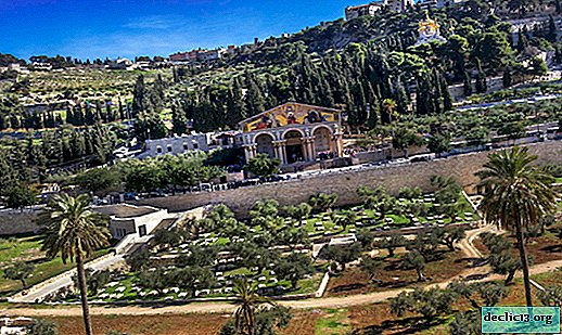 Mount of Olives in Jerusalem - a holy place for all believers