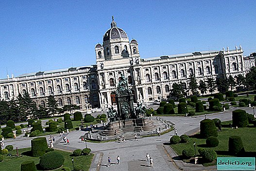 Museo de Historia del Arte de Viena - Patrimonio de las edades