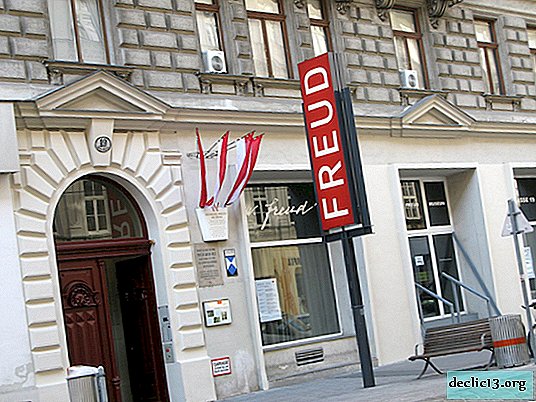 מוזיאון זיגמונד פרויד - ציון דרך בוינה