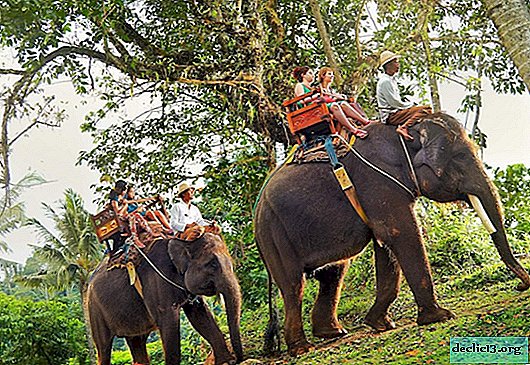 Sri Lankan kansallispuistot - minne mennä safarille