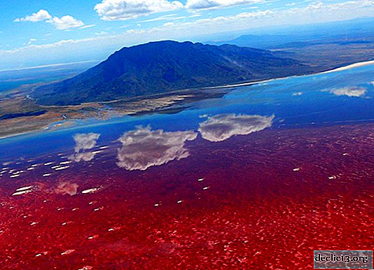 Natron - O lago mortal na Tanzânia