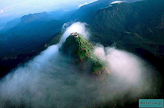 Adomo viršūnė - šventas kalnas Šri Lankoje