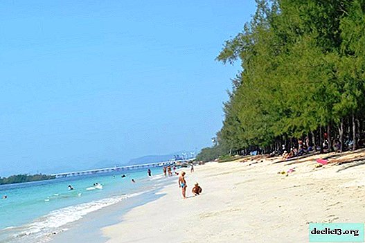 Beach dancing girl in Pattaya: a detailed description with photos