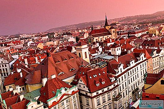 Praga - prednosti in slabosti priljubljenih območij mesta