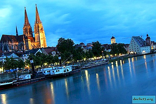 Almanya'daki Regensburg - en eski Bavyera şehri