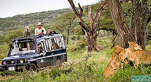 Tansaania safari - millist rahvusparki külastada
