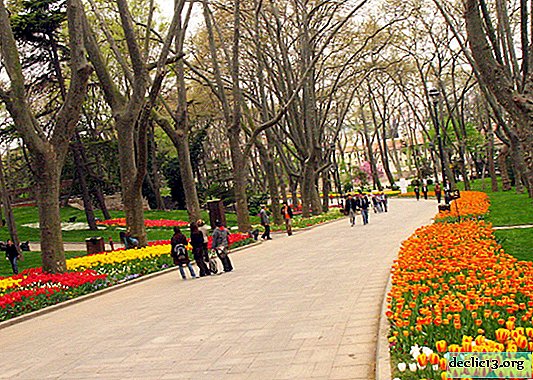 Lanskap indah Taman Gulhane tertua di Istanbul