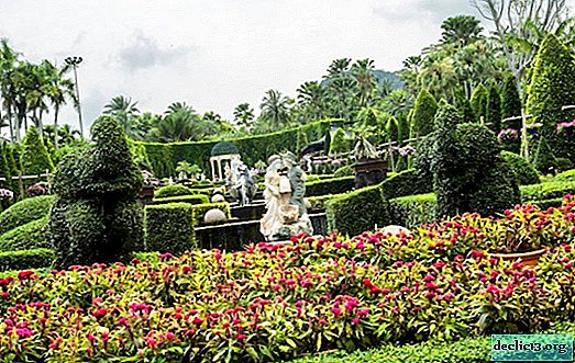 Tropická záhrada Madame Nong Nooch v Pattaya