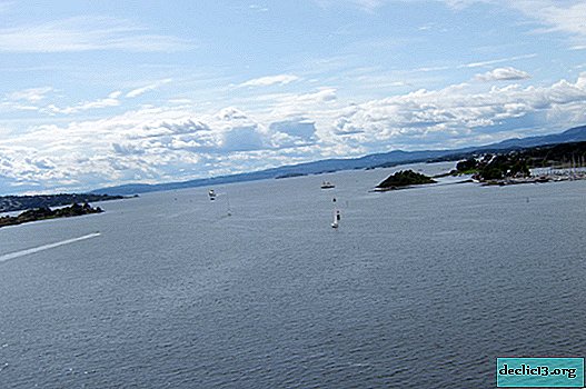 جولات ورحلات بحرية من أوسلو إلى مضيق النرويج