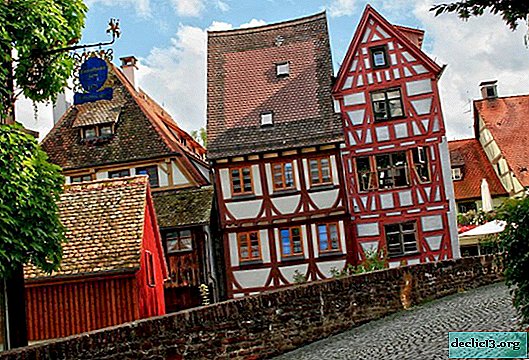 Ulm - what you need to know about the city of Germany
