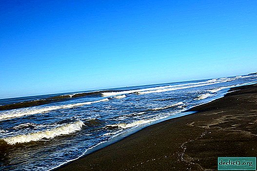 Ureki - Georgia resort com uma praia de areias magnéticas