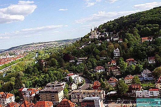 Wurzburg es una ciudad industrial rica en Baviera