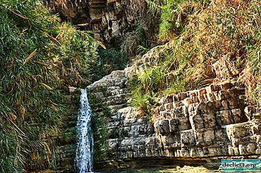 Ein Gedi Nature Reserve in Israel - Oasis in the desert