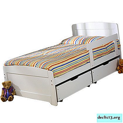 Options and features of cots from 5 years for girls, the color scheme of products