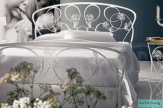 Kakšne so privlačne kovinske postelje iz Italije, njihove značilnosti