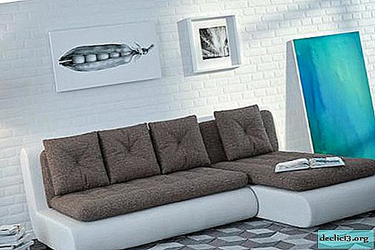 El uso de un sofá gris en el interior, opciones de combinación.