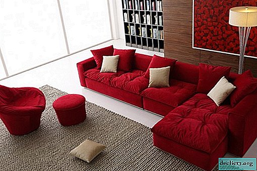 Como atualizar o interior com um sofá vermelho, dicas de design